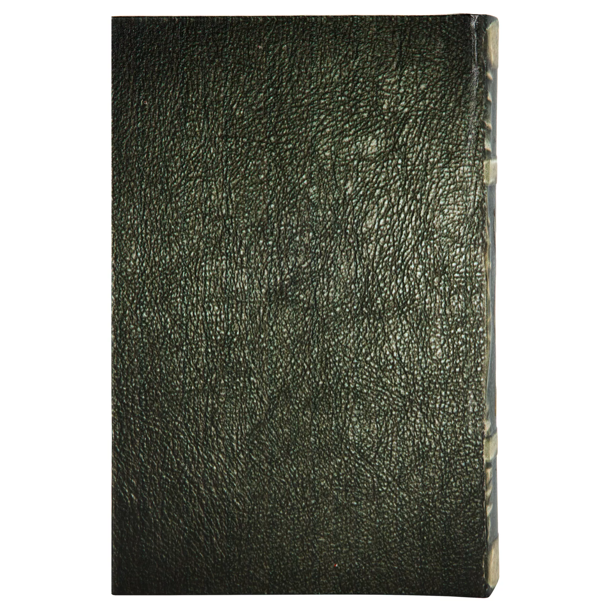 Mystical Ram Book Box at Spirit Halloween