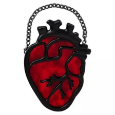 Anatomical Heart Suncatcher at Spencer's