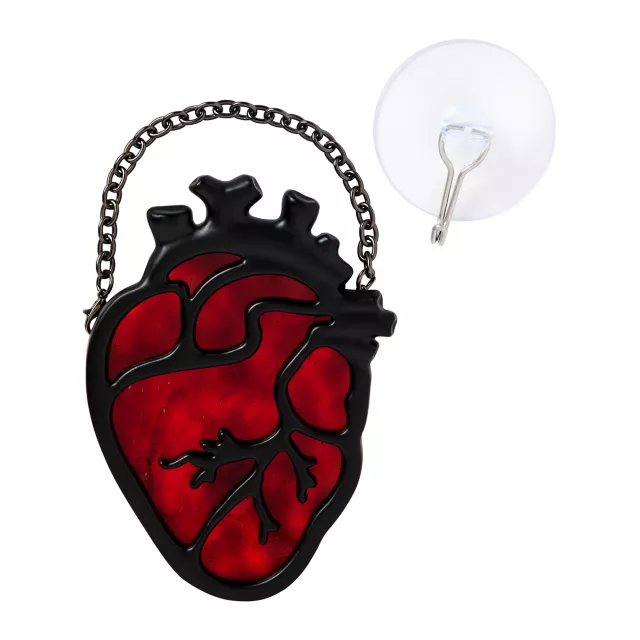 Anatomical Heart Suncatcher at Spencer's