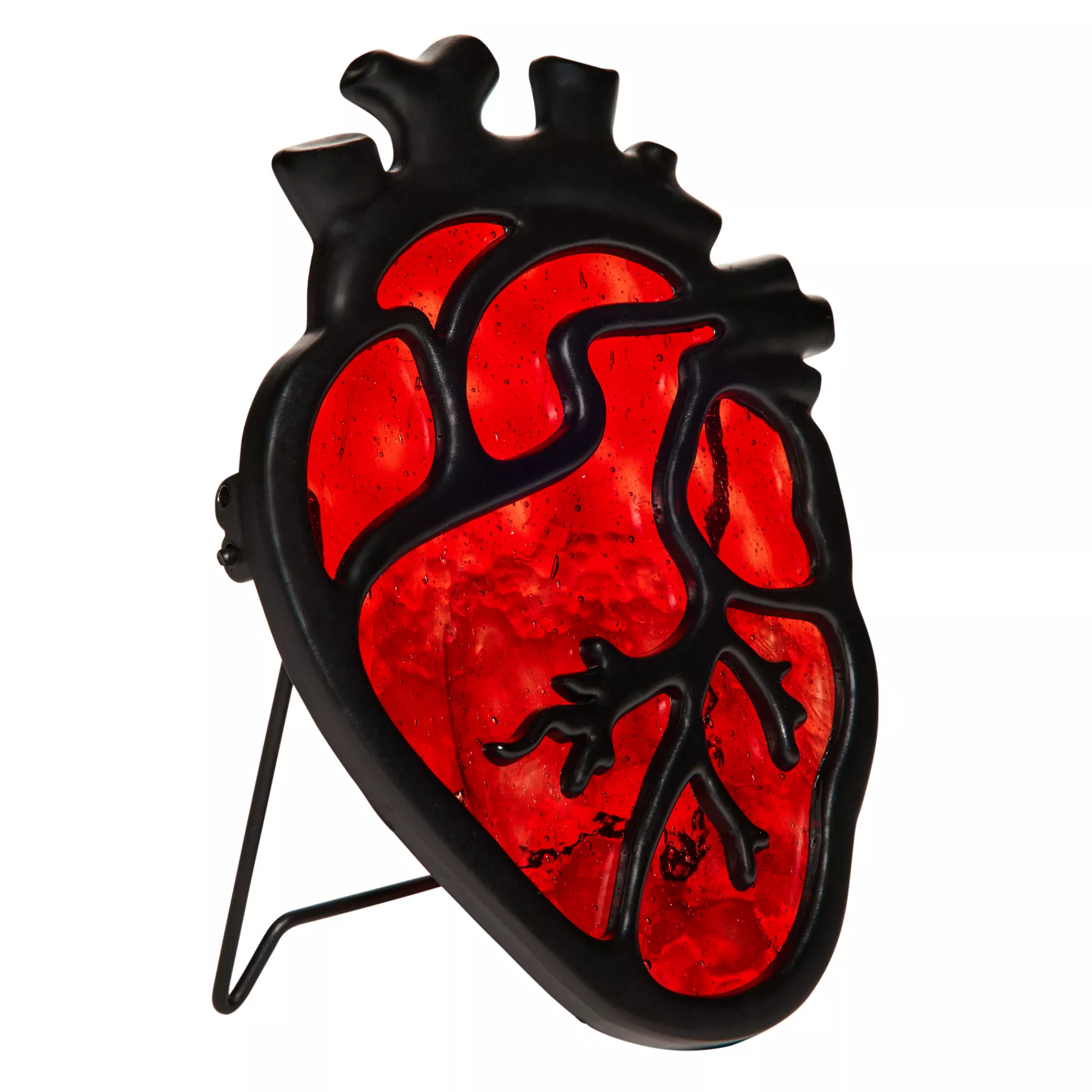 Anatomical Heart Suncatcher at Spencer's