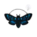 Moth Suncatcher at Spencer's