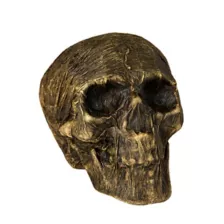 Wrapped Skull Decoration at Spencer's
