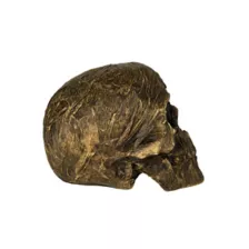 Wrapped Skull Decoration at Spencer's