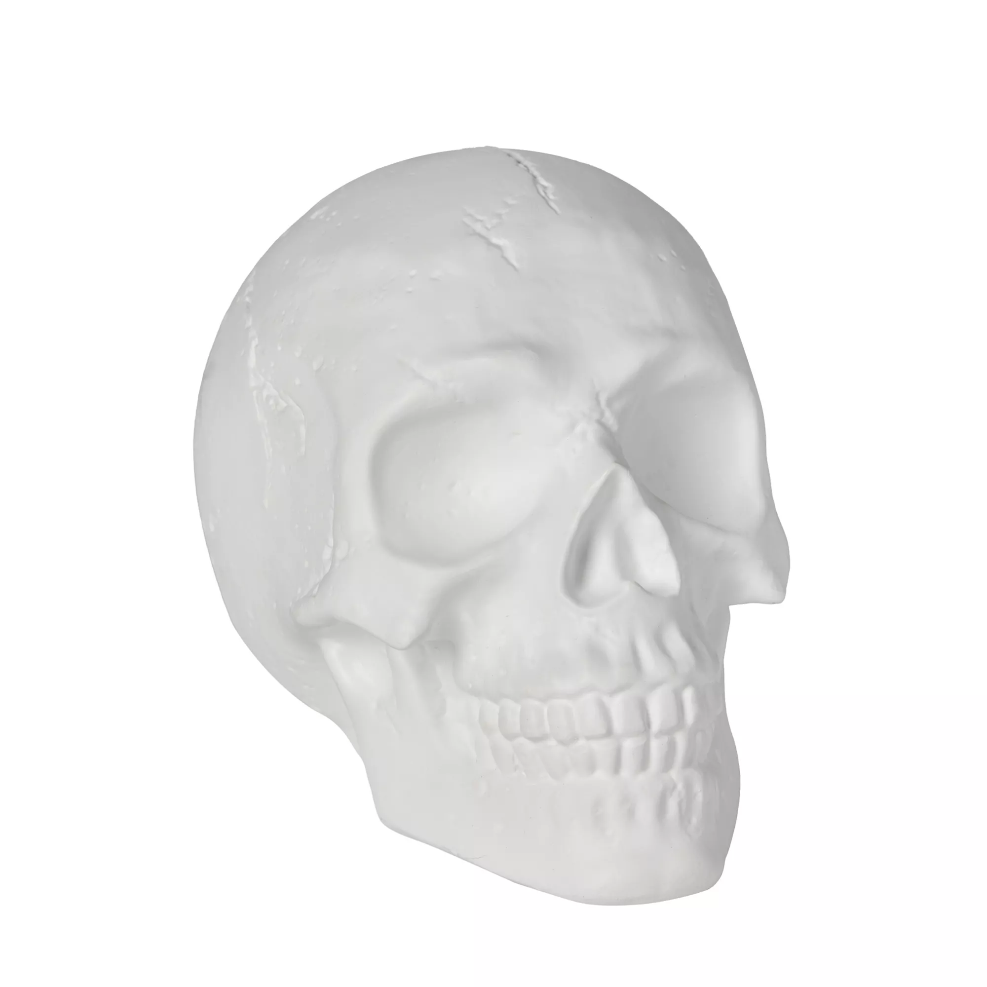 White Skull Tabletop Decoration at Spencer's