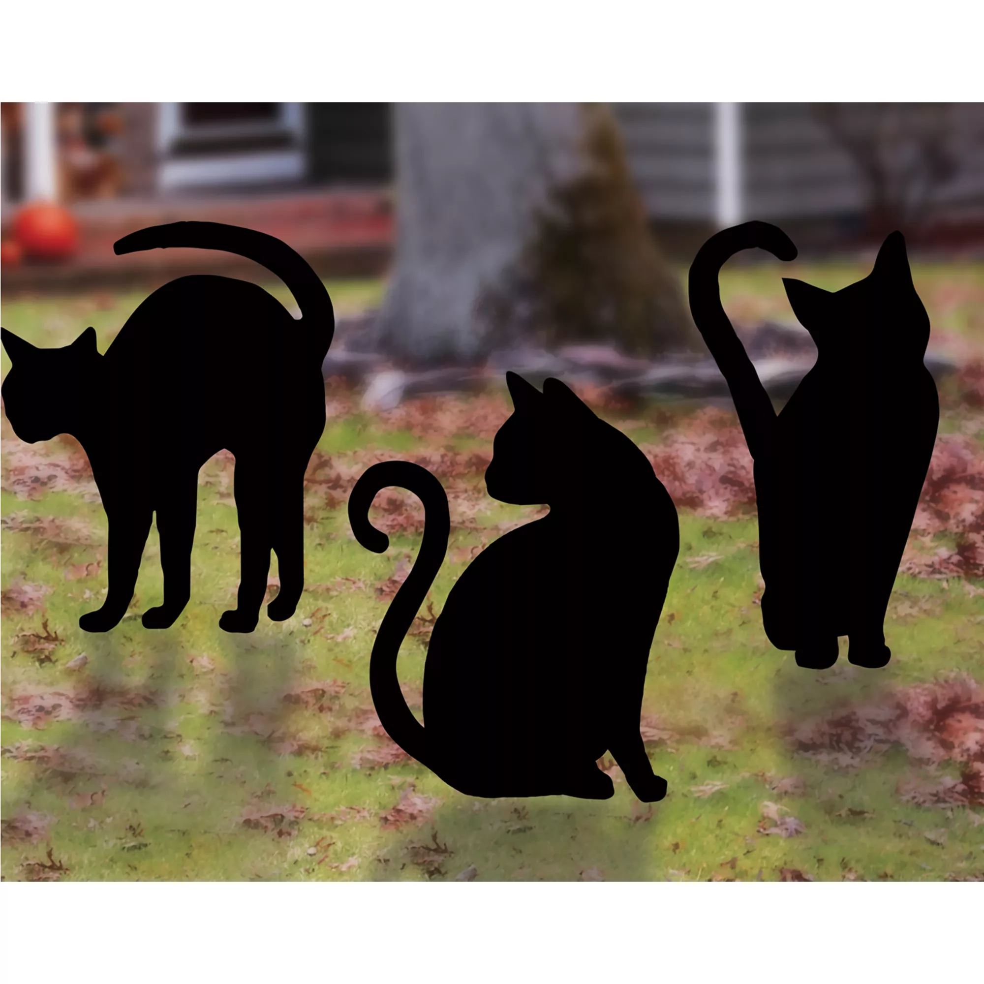 Multi-Pack Cat Silhouettes - 3 Pack at Spirit Halloween