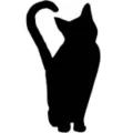 Multi-Pack Cat Silhouettes - 3 Pack at Spirit Halloween