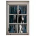 Woman Window Cover at Spirit Halloween