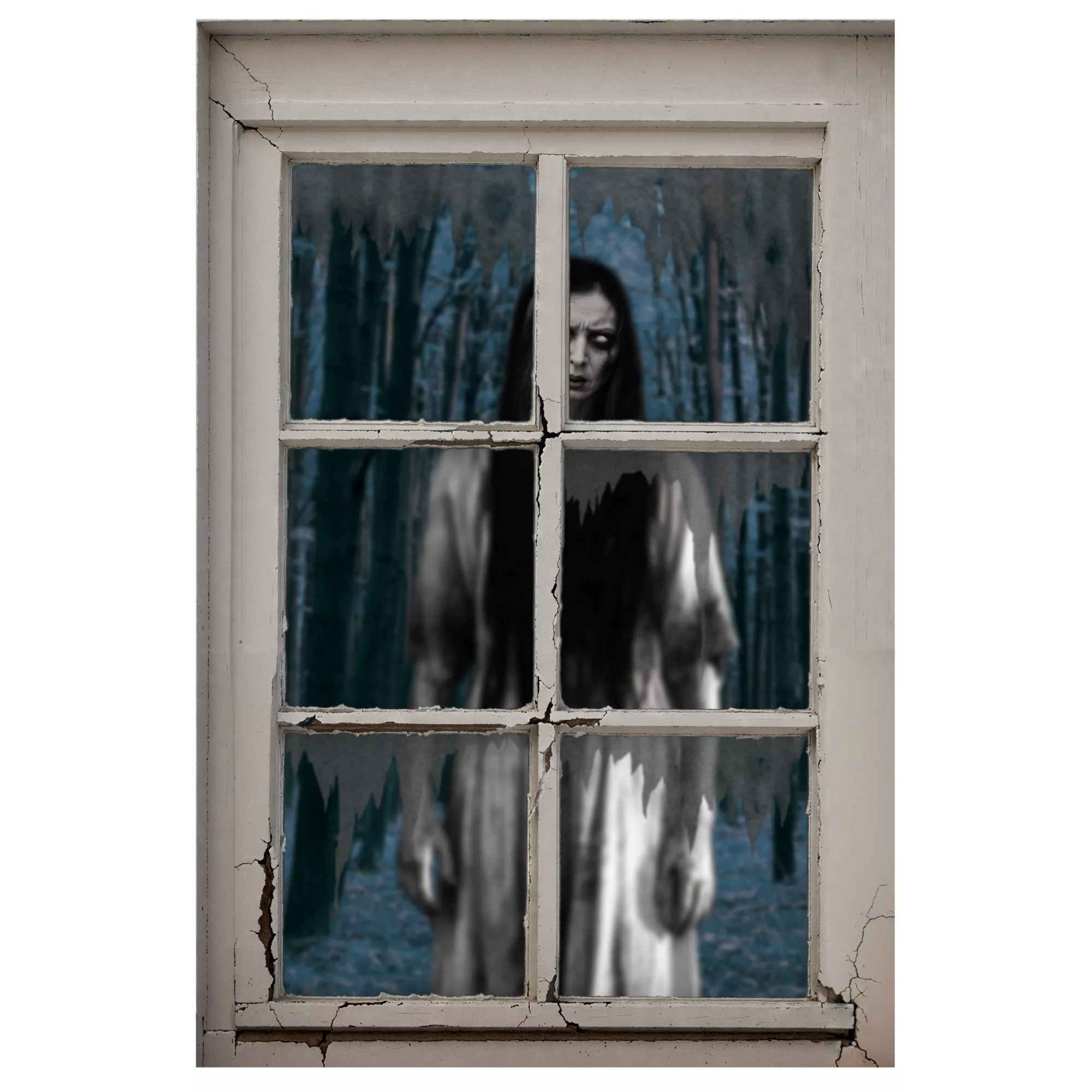 Woman Window Cover at Spirit Halloween