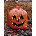 Pumpkin Lawn Bag at Spirit Halloween