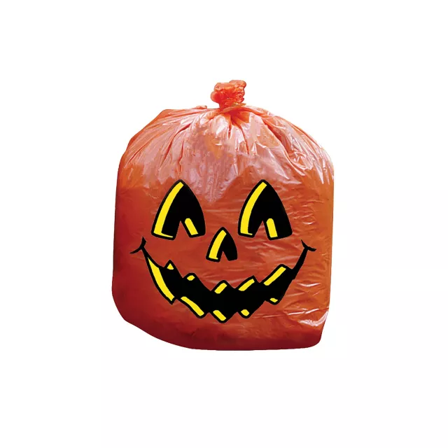 Spirit order Halloween Pumpkin Bag