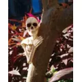 Skeleton Tree Mount Decoration at Spirit Halloween