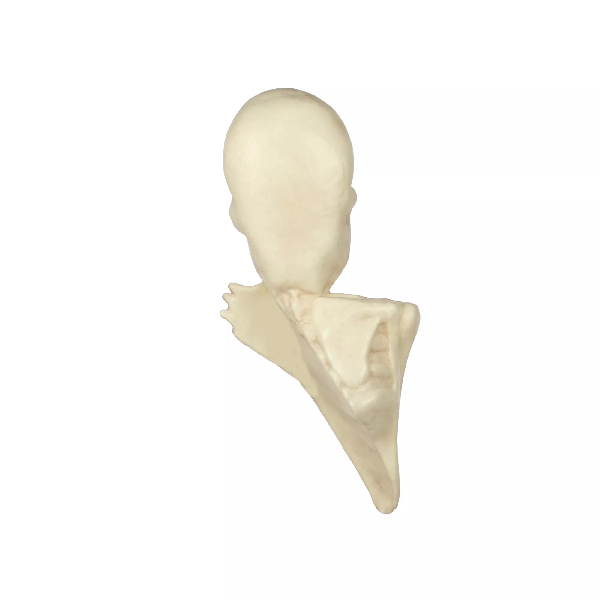 Skeleton Tree Mount Decoration at Spirit Halloween