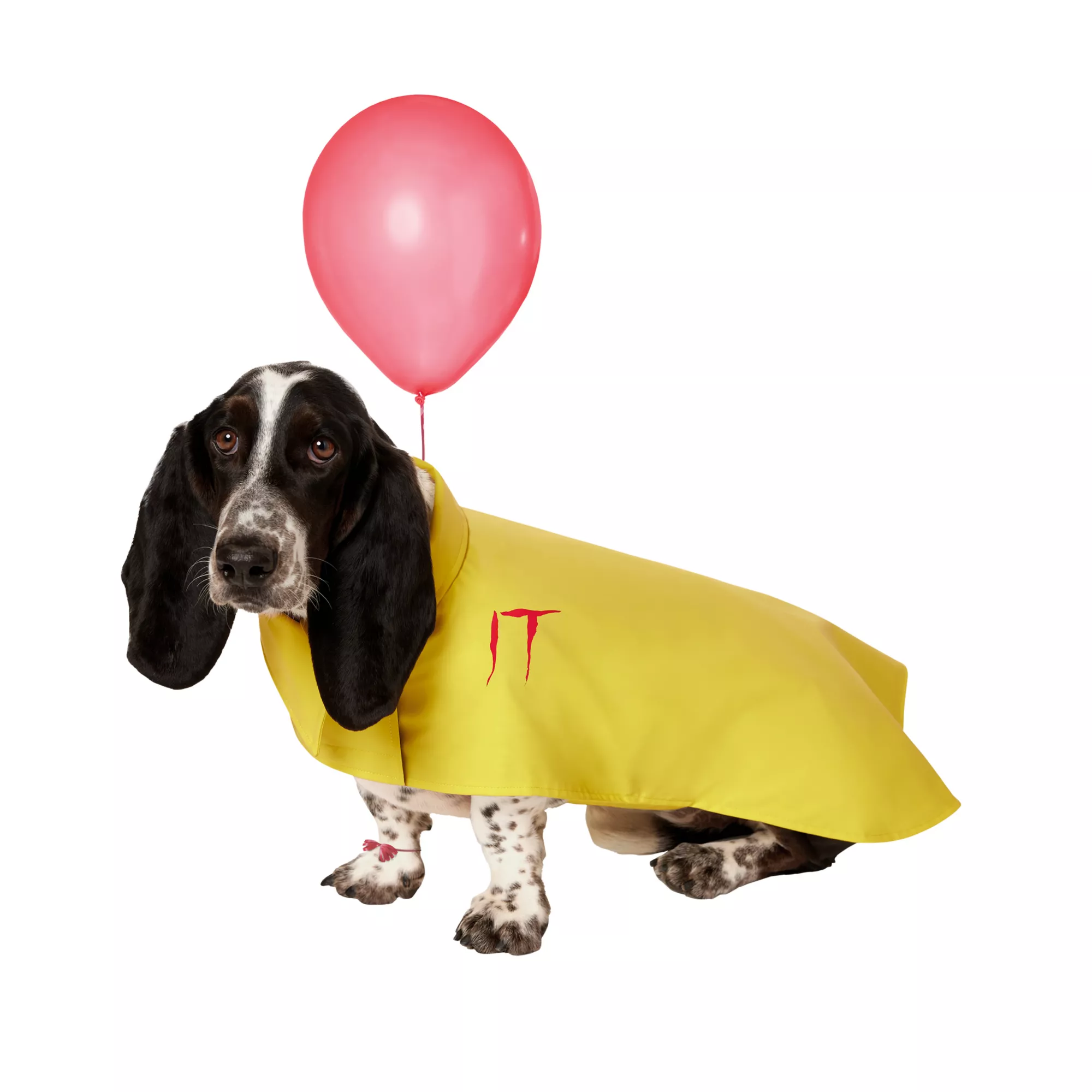 Georgie Raincoat Pet Costume - It at Spirit Halloween