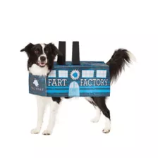 Fart Factory Pet Costume at Spirit Halloween