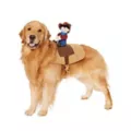 Riding Cowboy Pet Costume at Spirit Halloween