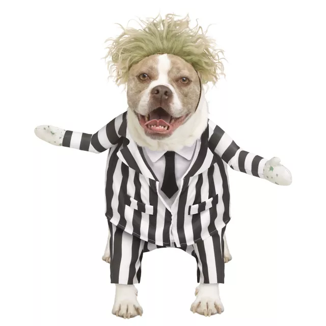 Beetlejuice dog costumes hotsell