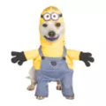 Minion Dave Dog Costume - Despicable Me at Spirit Halloween