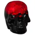 Enchanted Rose Skull at Spirit Halloween