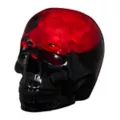 Enchanted Rose Skull at Spirit Halloween