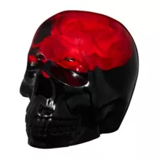 Enchanted Rose Skull at Spirit Halloween