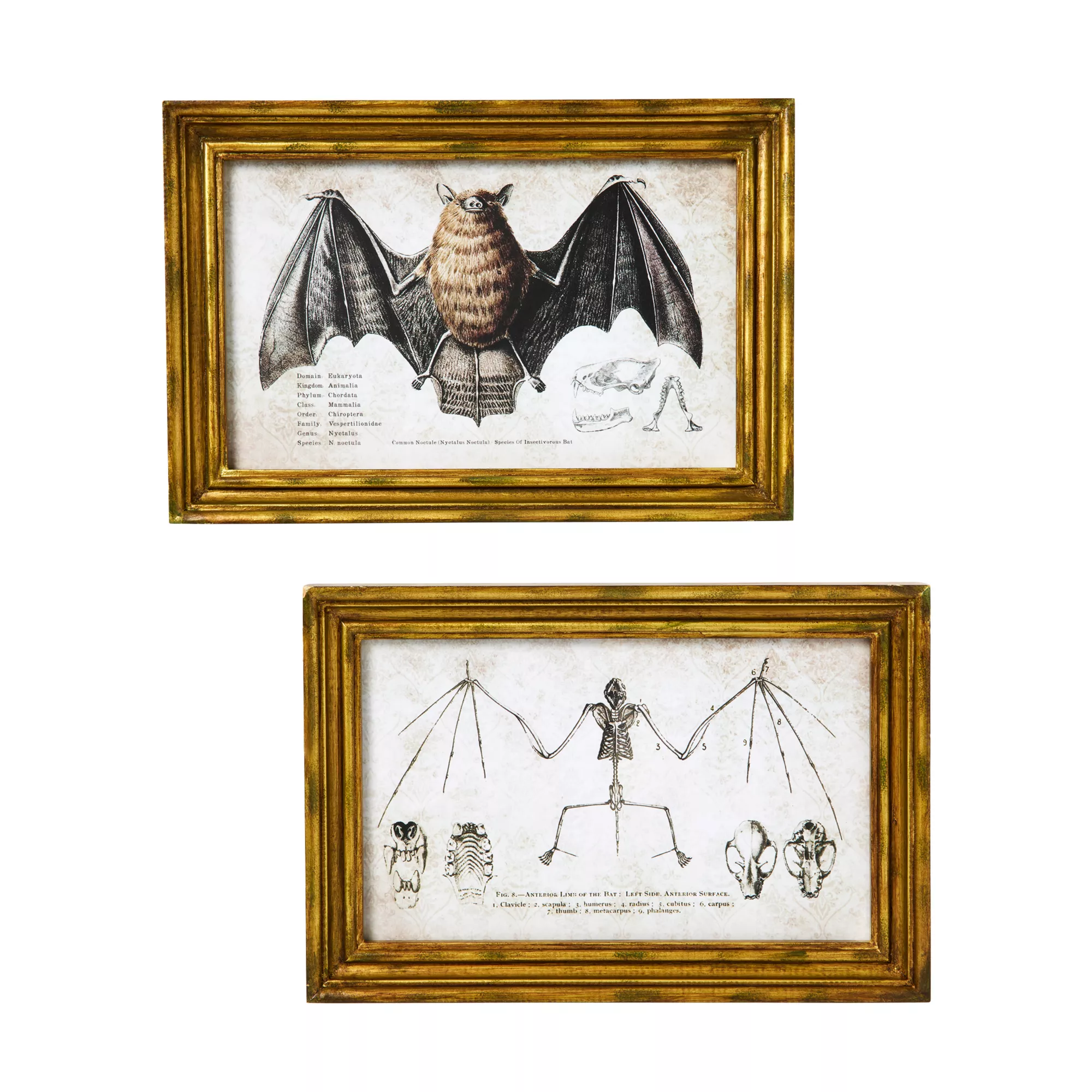 Bat Sign Set - 2 Piece at Spencer's