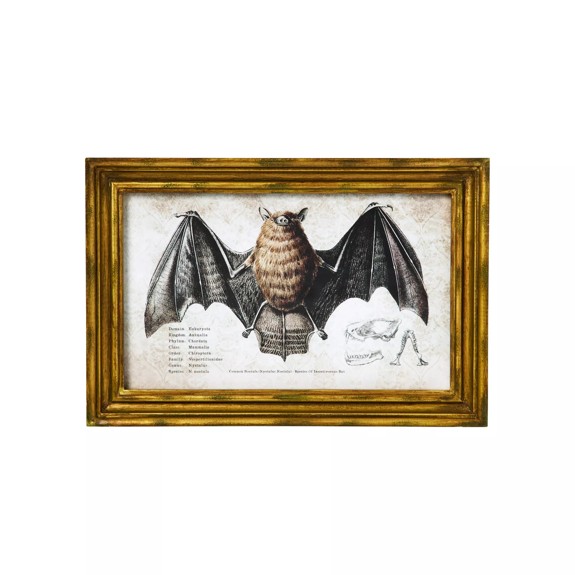 Bat Sign Set - 2 Piece at Spencer's