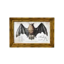 Bat Sign Set - 2 Piece at Spencer's