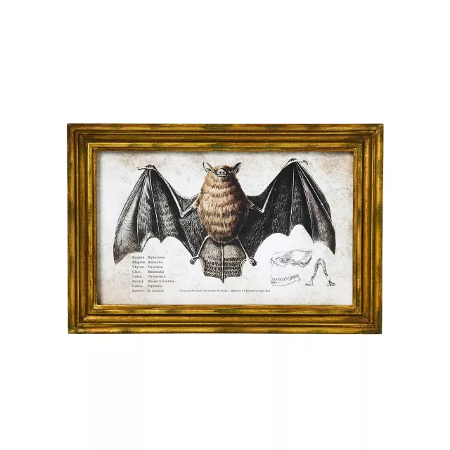 Bat Sign Set - 2 Piece at Spencer's
