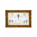 Bat Sign Set - 2 Piece at Spencer's