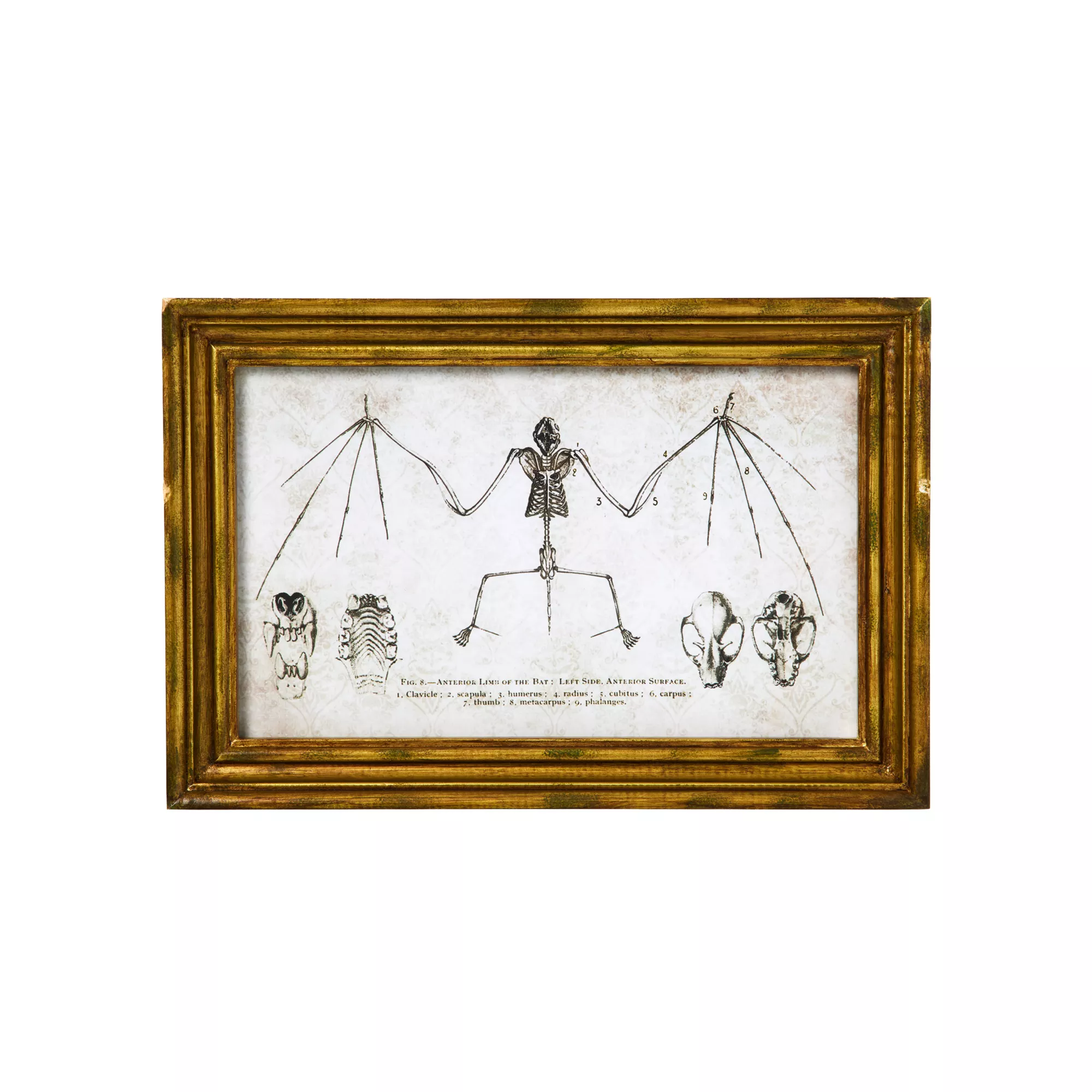 Bat Sign Set - 2 Piece at Spencer's