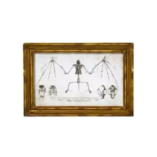 Bat Sign Set - 2 Piece at Spencer's