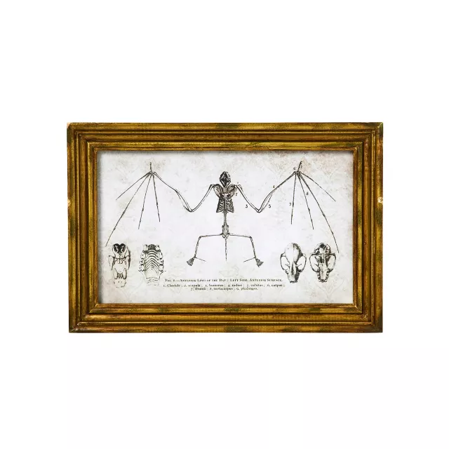 Bat Sign Set - 2 Piece at Spencer's