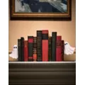 Floating Ghost Bookends at Spencer's