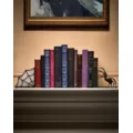 Enchanted Spider and Web Bookends at Spirit Halloween