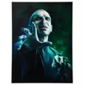 Voldemort Canvas Sign - Harry Potter at Spirit Halloween