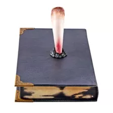 Tom Riddle's Diary Book Box - Harry Potter at Spirit Halloween