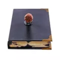Tom Riddle's Diary Book Box - Harry Potter at Spirit Halloween