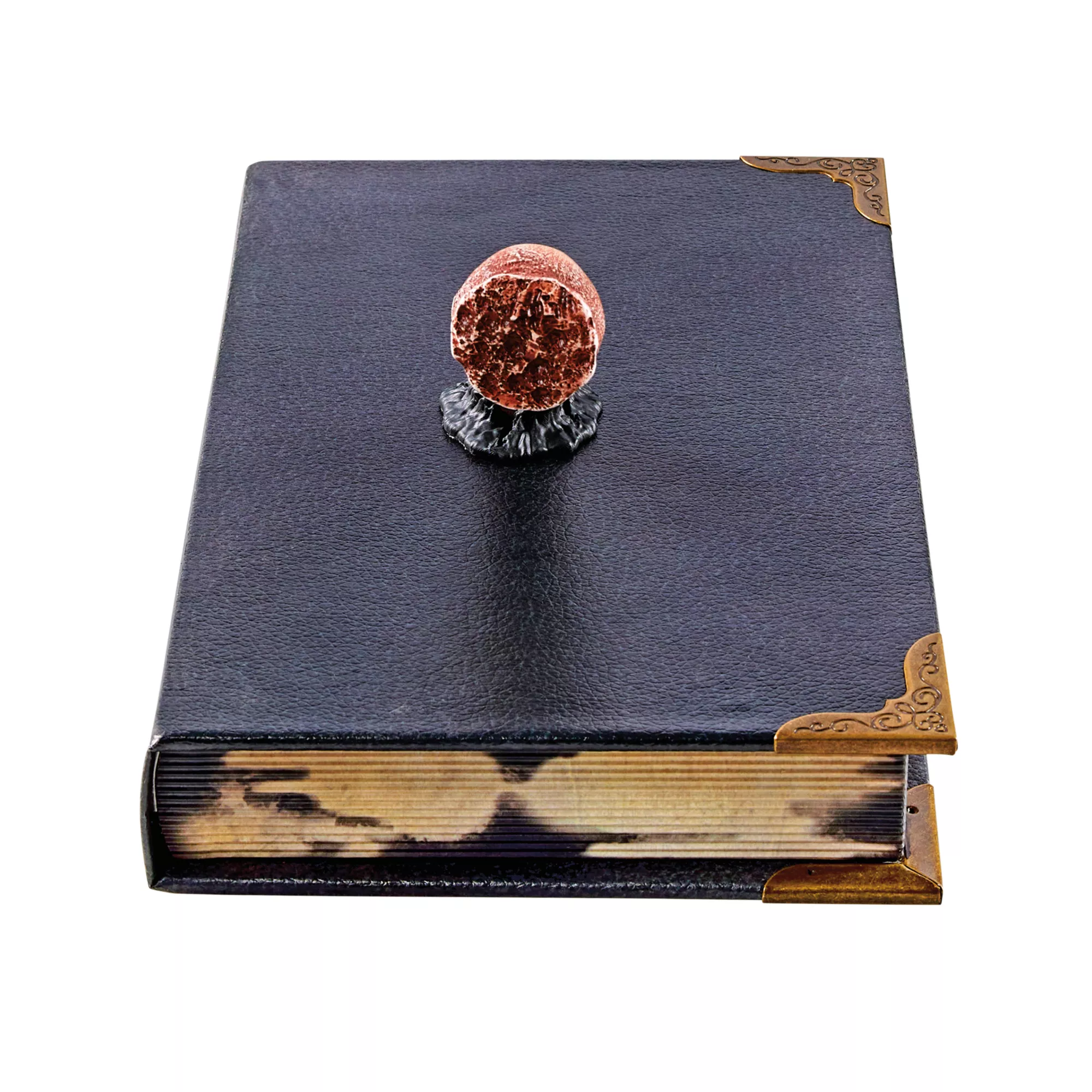 Tom Riddle's Diary Book Box - Harry Potter at Spirit Halloween