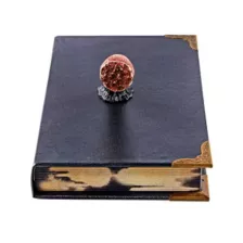 Tom Riddle's Diary Book Box - Harry Potter at Spirit Halloween