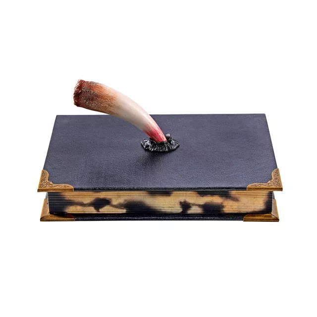 Tom Riddle's Diary Book Box - Harry Potter at Spirit Halloween