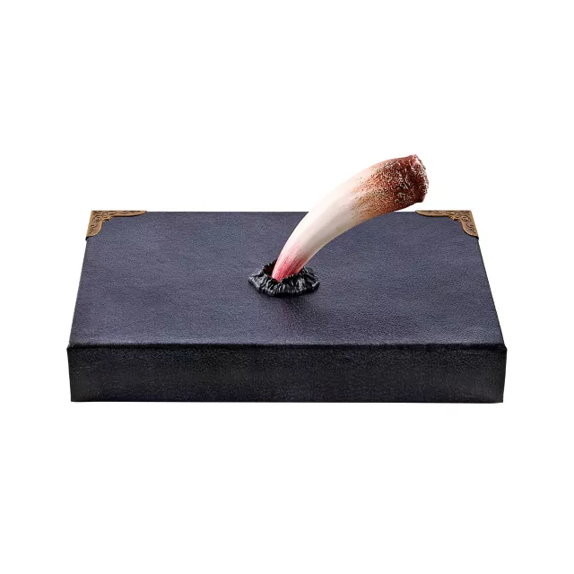 Tom Riddle's Diary Book Box - Harry Potter at Spirit Halloween