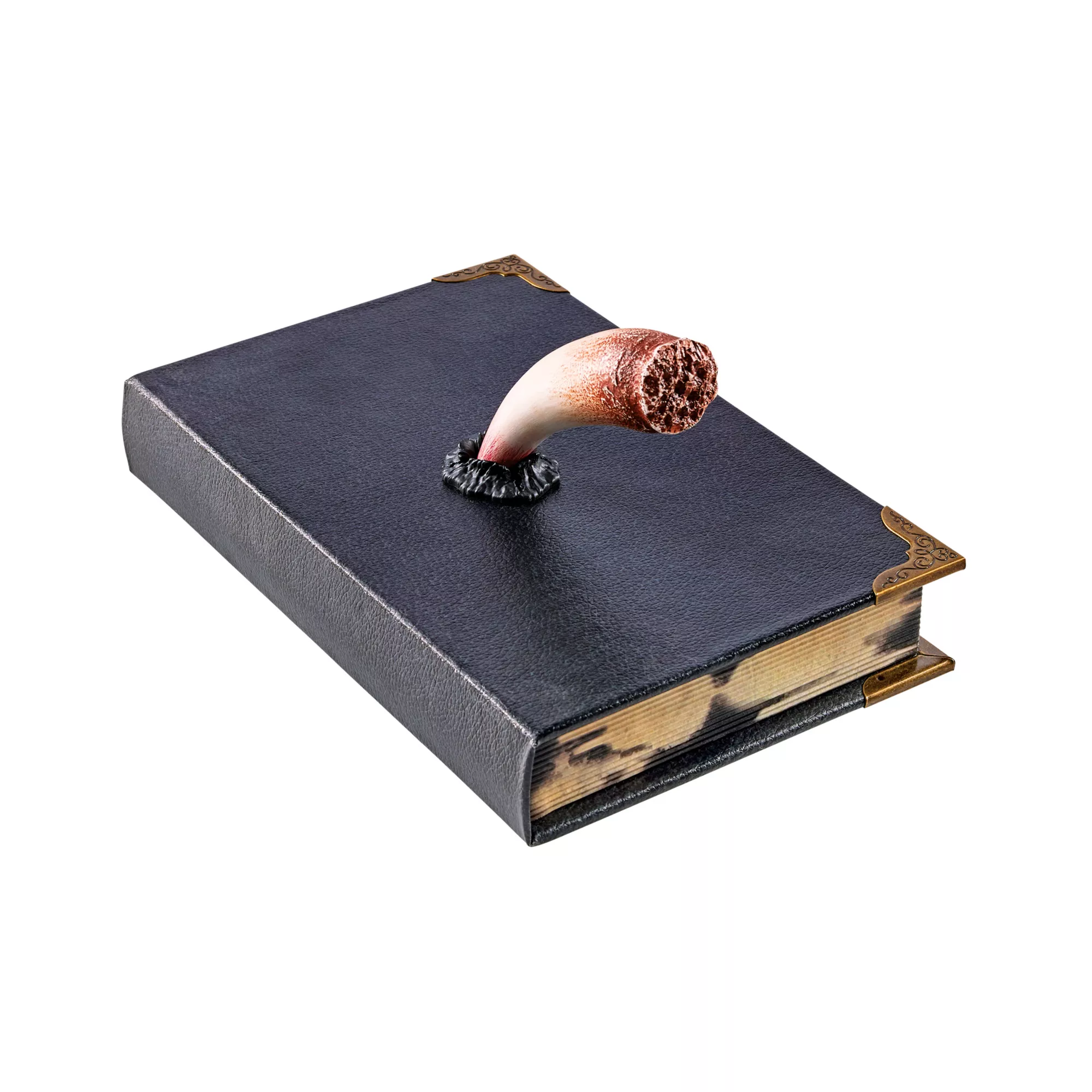 Tom Riddle's Diary Book Box - Harry Potter at Spirit Halloween