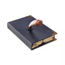 Tom Riddle's Diary Book Box - Harry Potter at Spirit Halloween