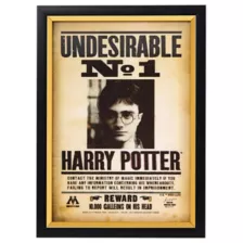 Harry Potter Wanted Mugshot Sign at Spirit Halloween
