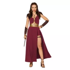 Adult Medieval Warrior Costume at Spencer's