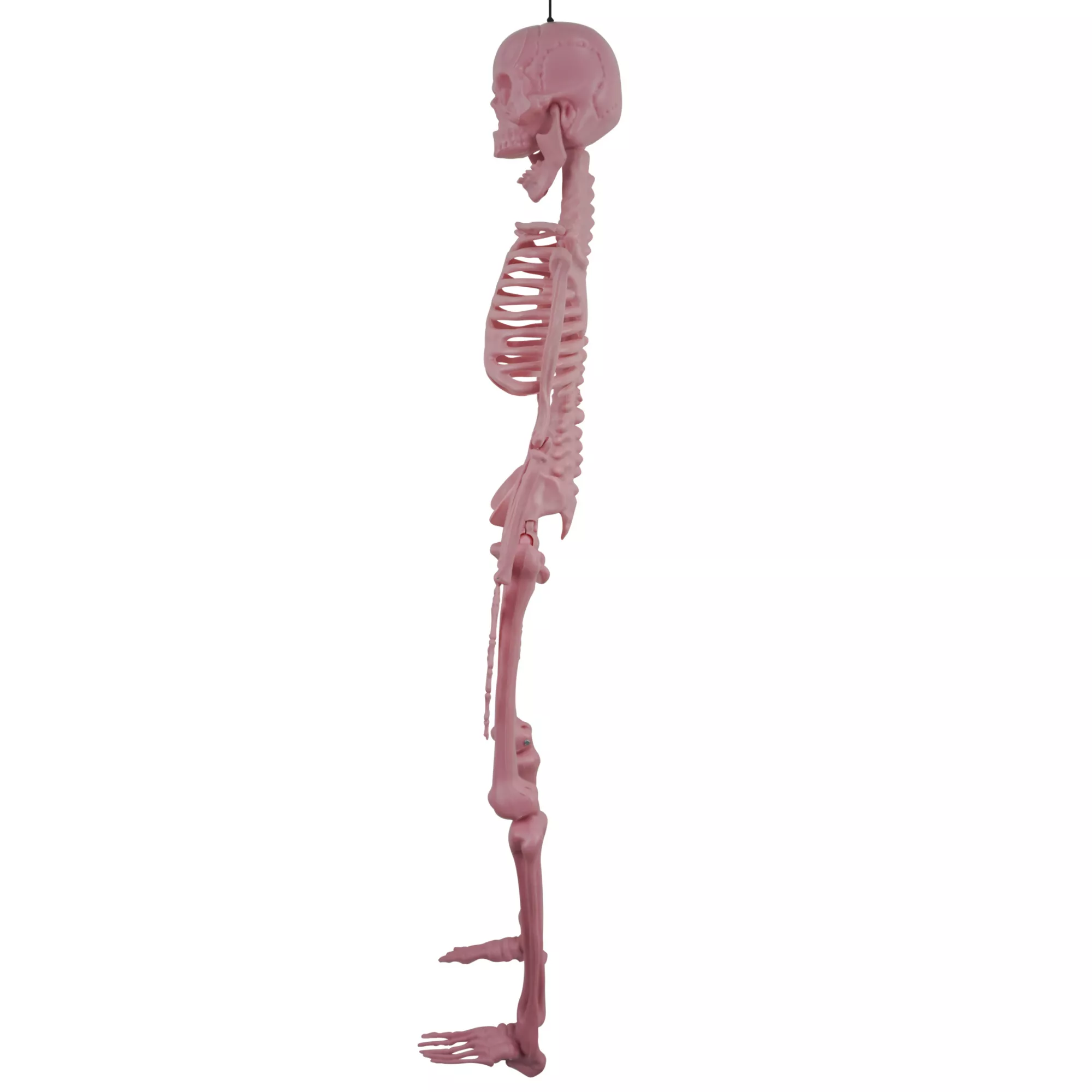 Pink Skeleton - 36 Inches at Spirit Halloween