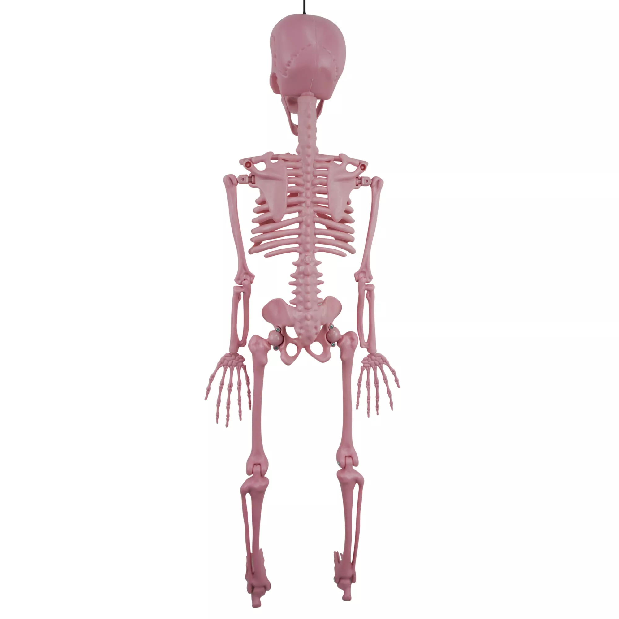 Pink Skeleton - 36 Inches at Spirit Halloween