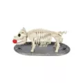 Skeleton Pig on a Platter at Spencer's