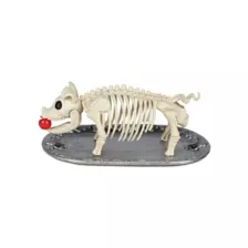Skeleton Pig on a Platter at Spencer's