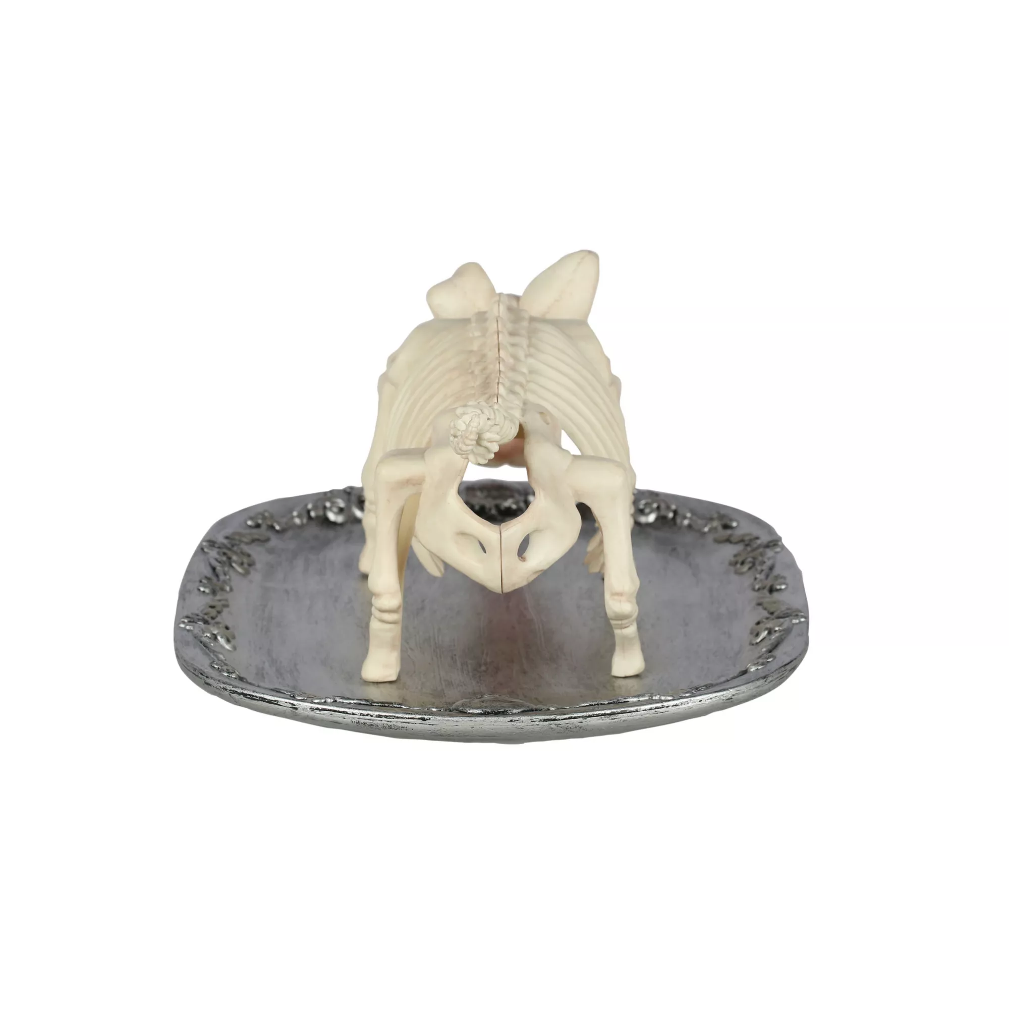 Skeleton Pig on a Platter at Spencer's